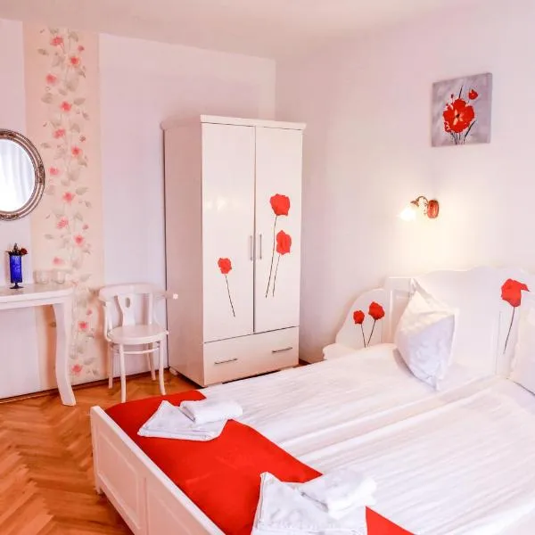 Pensiunea Vila Silva I, hotel v destinaci Haţeg