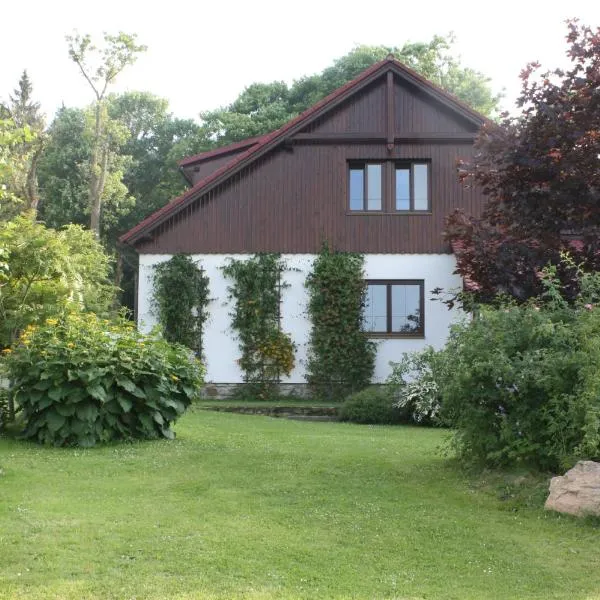 Luxury Apartment in Sumava Mountains, hotel v destinaci Křišťanov