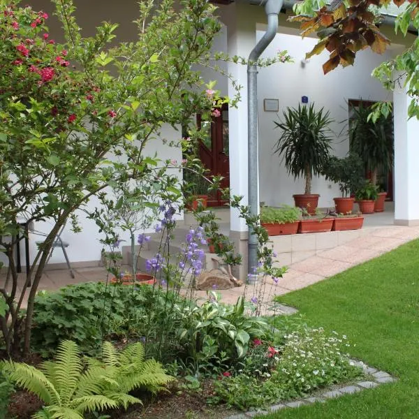 Boulevard Garden House - Free and save parking in the yard, hotel di cuprija