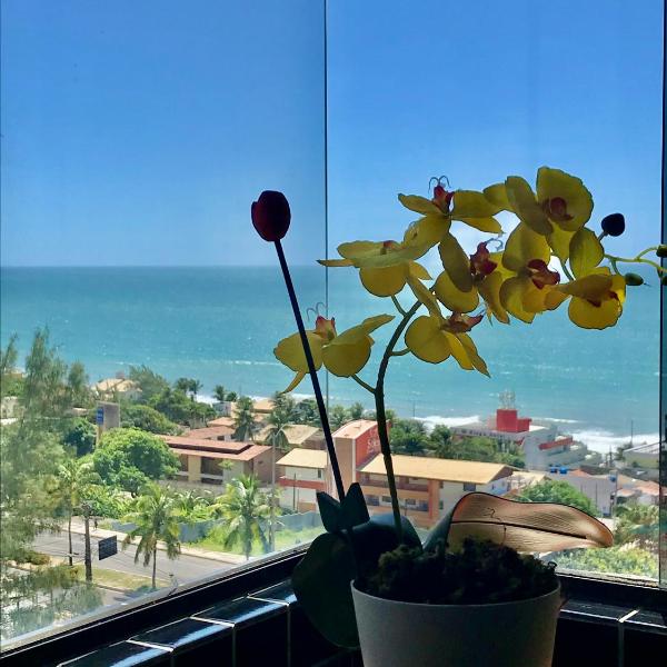 Porto Viejo Ô de Casa Natal RN