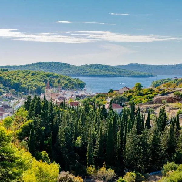 Mladinic Palace, hotell sihtkohas Milna