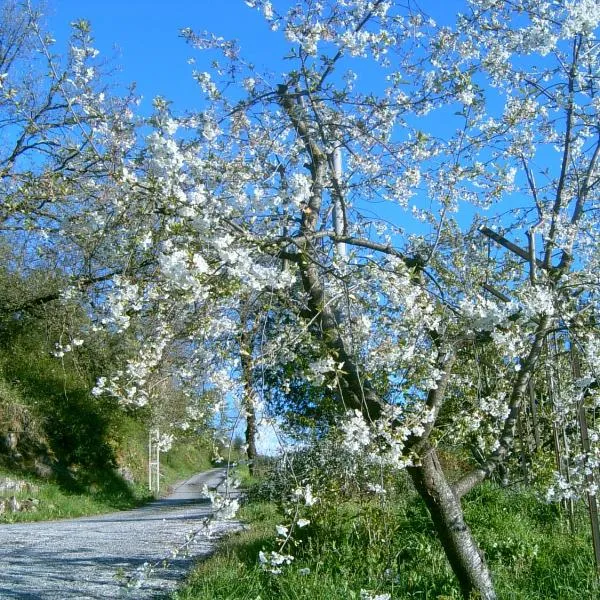 B&B Casa Rosella - Country house, hotel in Pisoniano