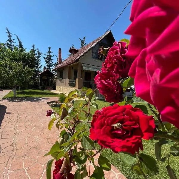 Villa Katerina, hotel v mestu Nea Kalikratia