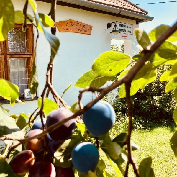 Ubytovanie u Aranky, hotel v destinaci Čierna nad Tisou