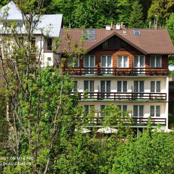 Willa Jasna, hotel in Krynica Zdrój