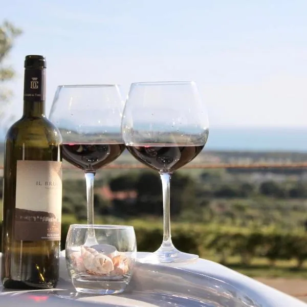 Agriturismo Suite del Conte, hotel in San Vincenzo