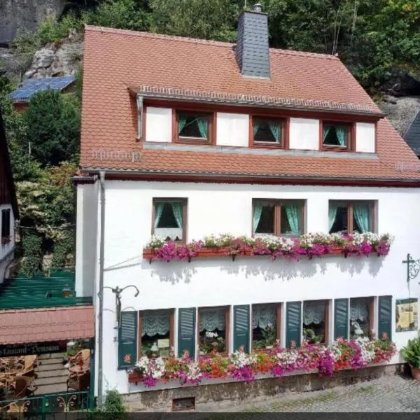 Pension Fuhrmann's Elb- Café, hotel in Bad Schandau