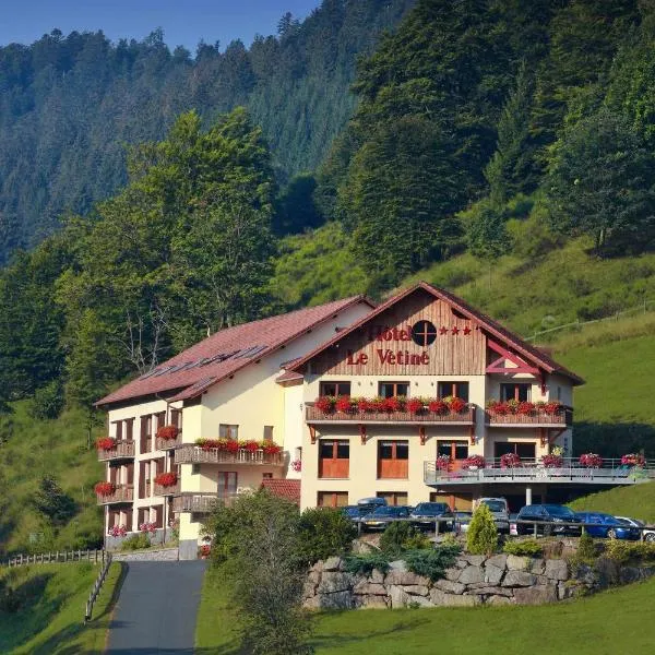 Logis Hôtel Le Vétiné, hotel en Le Valtin