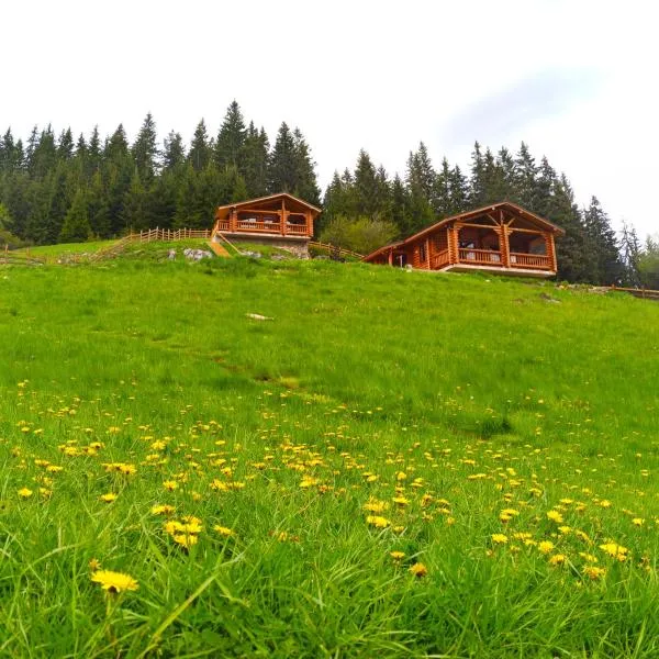 къщи за гости Под звездите, hotel in Davidovko