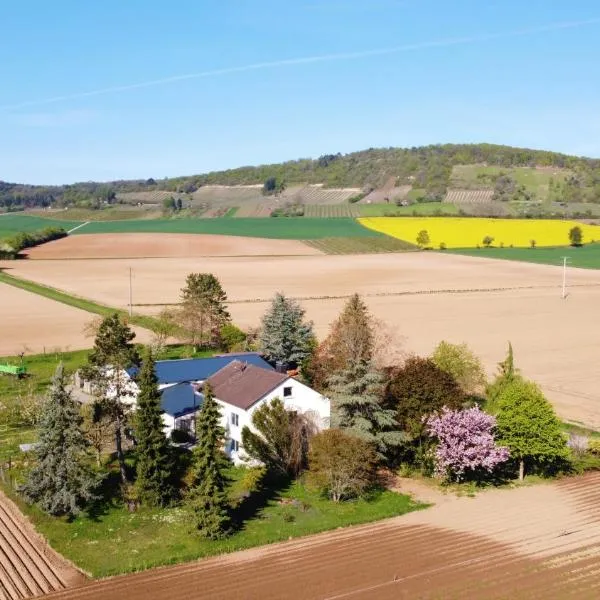 Ferienwohnungen Rosenhof, מלון בEußenheim