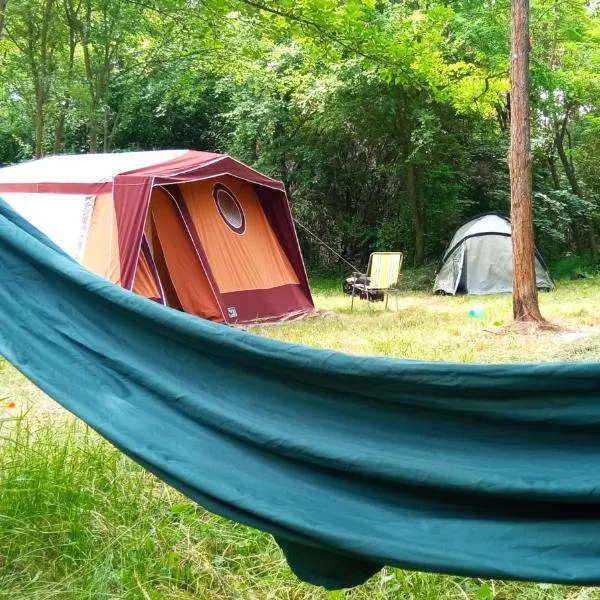 Different Belgrade camping, hotel in Stepašinovac