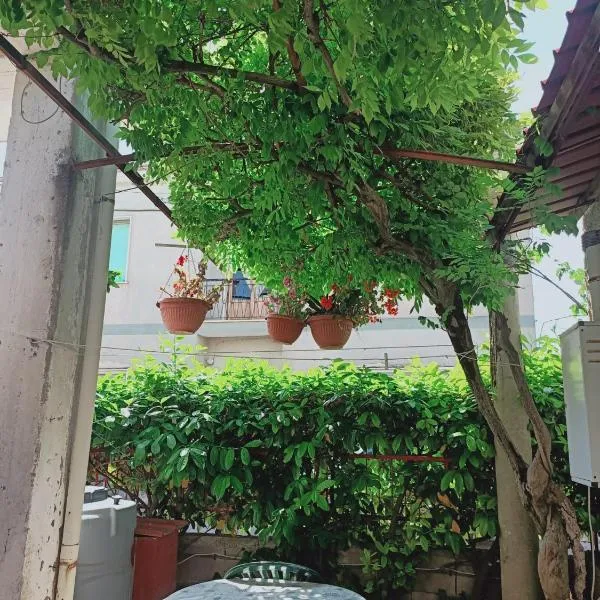 casa giardino, hotel in Scauri