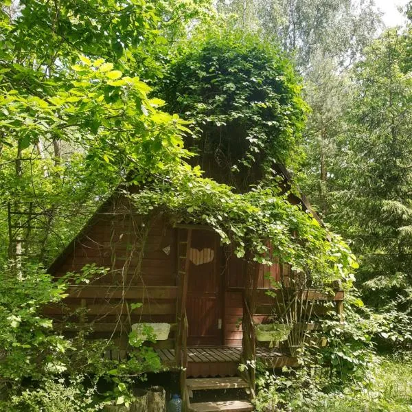 Domek w lesie, hotel u gradu Wola Chojnata