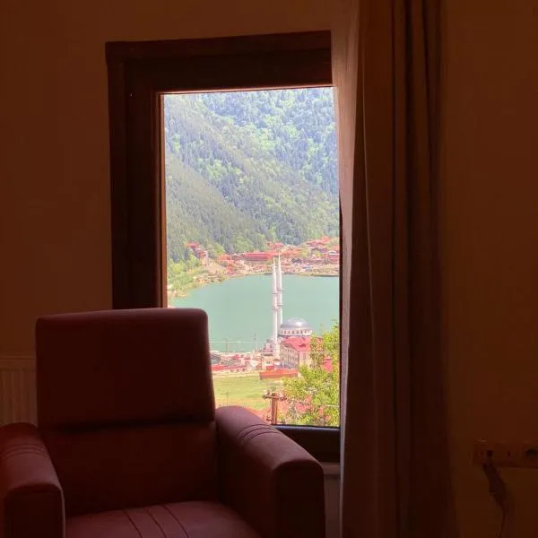 İmera Suite Otel, hotel in Uzungöl