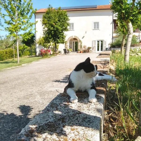 Le Piracante, hotel a Caiazzo