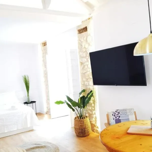 MANZANO PALACE. Habitaciones y Suites 30 m2 en la Plaza Mayor, hotel v destinaci Almagro