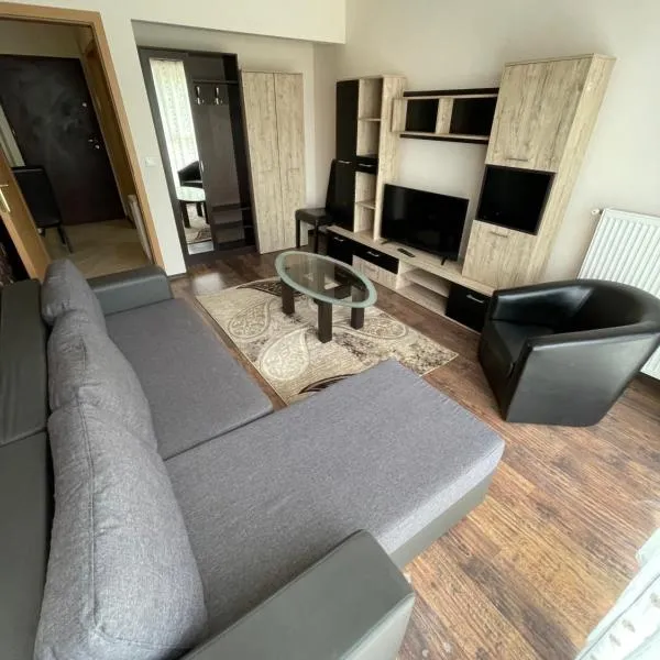 Olympia Residence, hotel in Chişineu Criş