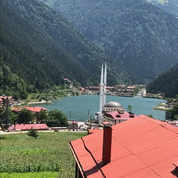 Karenes KUZEY Pansıyon, hotel v destinaci Çaykara