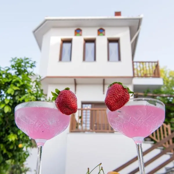 Aegean Blue - Villas Stivachtis, hotel v destinaci Agios Ioannis Pelio