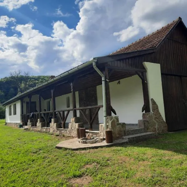 Casa de Peste Apă, Hotel in Densuş