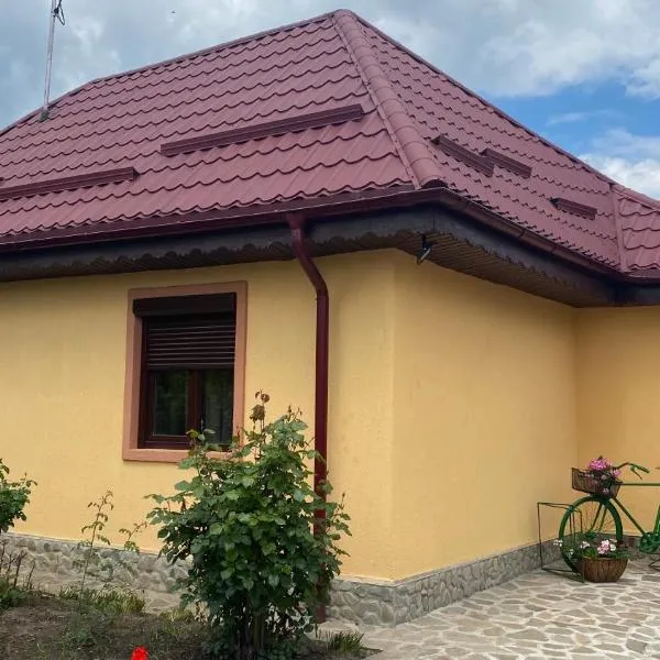 Casa de vacanta - Ograda cu flori, hotel din Almaş