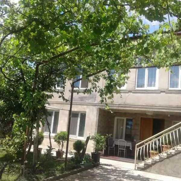 Nino Apartement Zugdidi, готель у місті Tsalenjikha