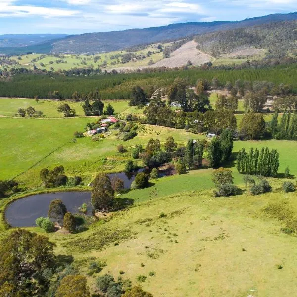 Hamlet Downs Country Accommodation, hotel in Fentonbury