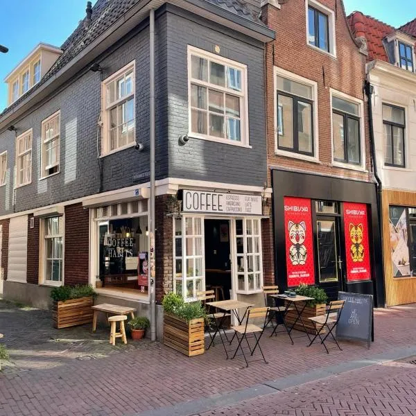 Tiny Private City Rooms Haarlem, hotel in Haarlem