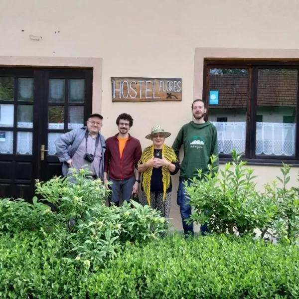 Hostel Flores, hotel in Kostanjevac