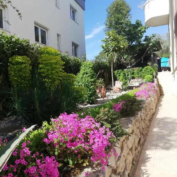 Villa Maslina, Hotel in Zadar