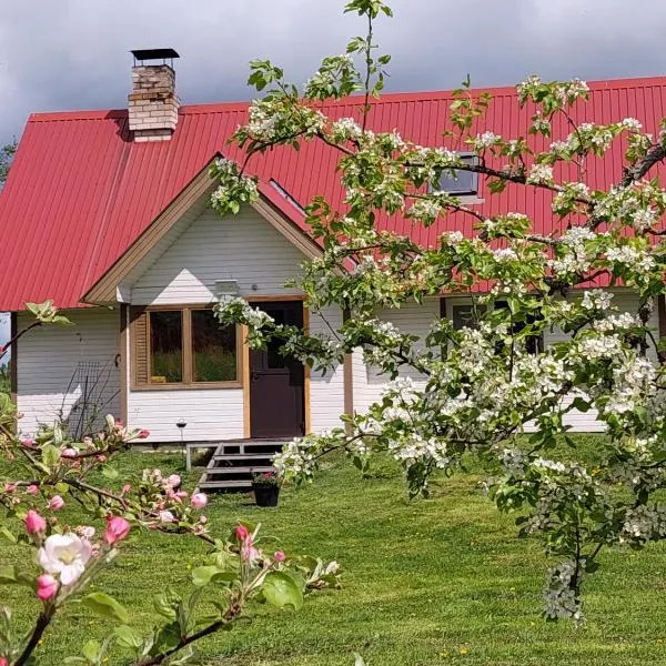 Mesikamäe Saunamaja, hotel v destinaci Polva
