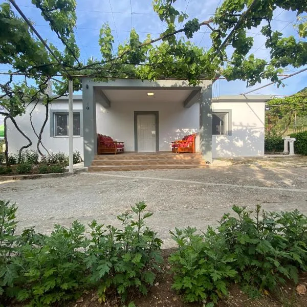 Progon House, hotel v destinaci Tepelenë
