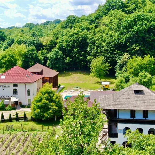 Casa Cartianu, Hotel in Curpen