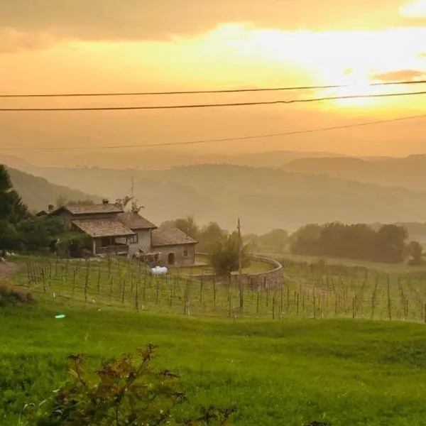 Fattoria Branciana, hotel v destinaci Rossena