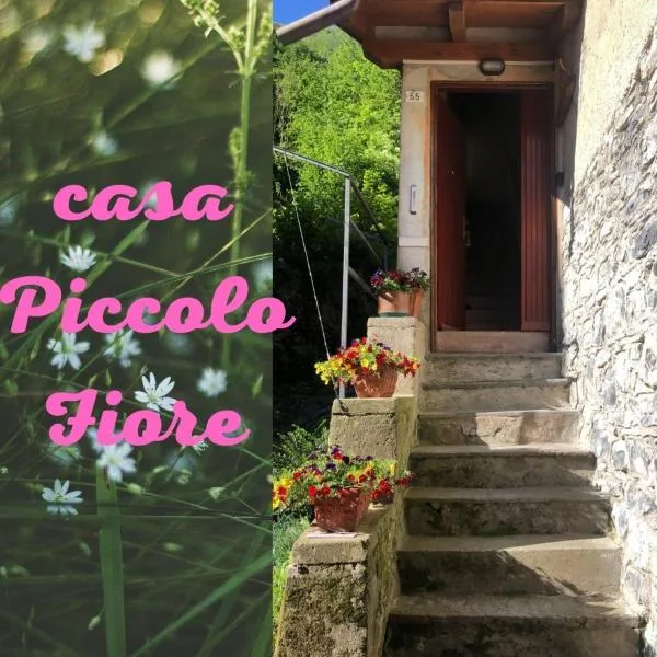 casa piccolo fiore, hotel in Lezzeno