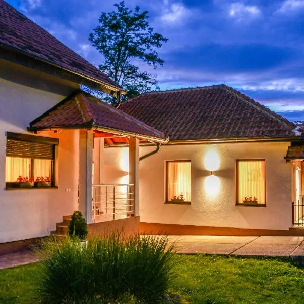 Apartman Savić, hotel in Bajina Bašta