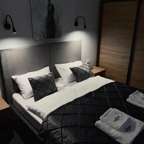 готель Тячів, hotel en Tyachiv