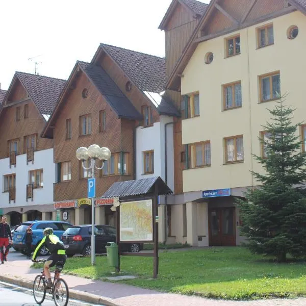 Horní Náměstí, hotel in Rokytnice nad Jizerou
