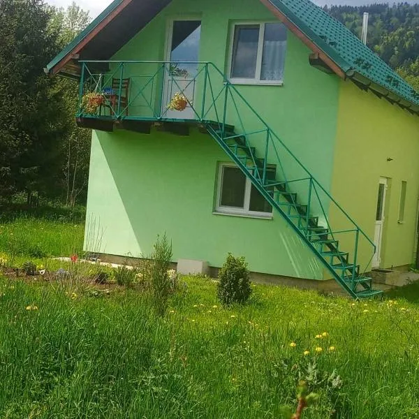 Green House 2 уч ФАЛЬЧІ ВУЛ ПЕРШОГО ТРАВНЯ БУД 5, hotel in Mykulychyn