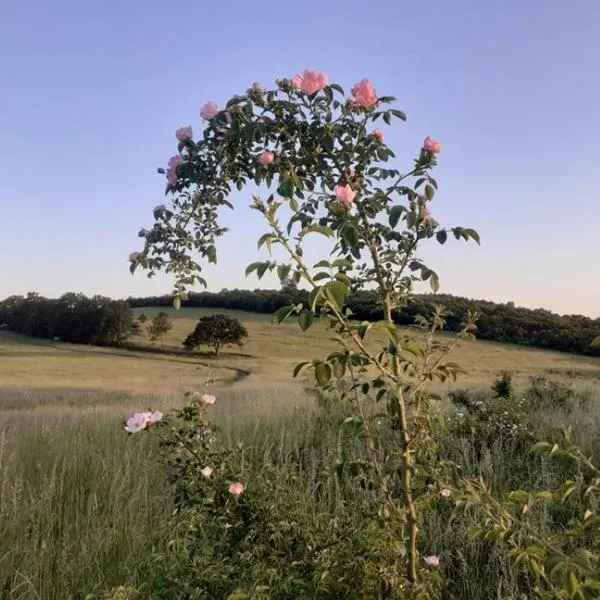 Mákvirágház2, viešbutis mieste Zabegenis