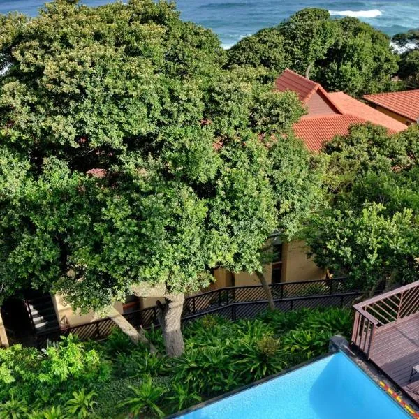 ANEW Hotel Ocean Reef Zinkwazi, hotel in Blythedale