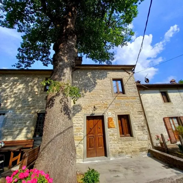 CASINA LA QUERCIA, hotel en Premilcuore