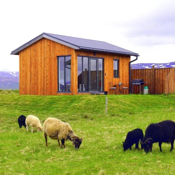 Austurey Cottages, hotel v destinaci Laugarvatn