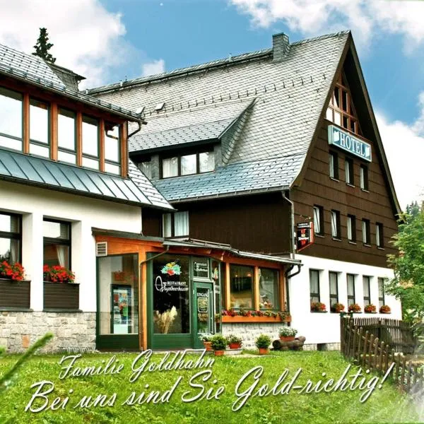 Ferienhotel Mühlleithen, hotel in Carlsfeld