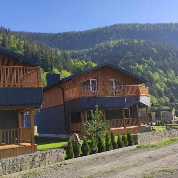 Chalet Venterivka、タターリウのホテル