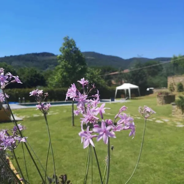 Alba Morus Bed & Breakfast, sentiti a casa nel cuore della Toscana, hotel in Arezzo