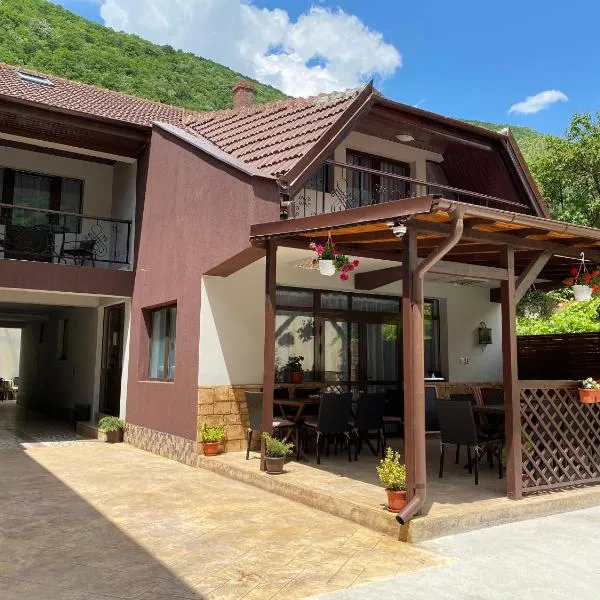 Casa Adriana, hotel v destinaci Băile Herculane