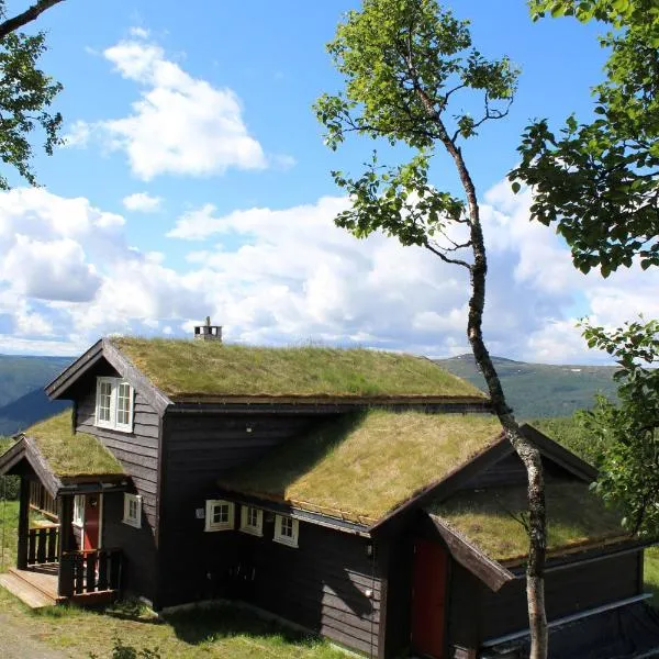 Storemyr by Norgesbooking - cabin with amazing view, hotel in Hol