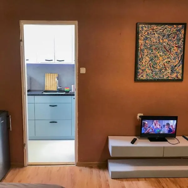 Cosy studio in quiet location, hotel in Puławy