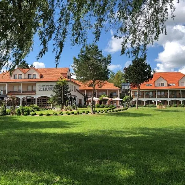 Hotel Saint-Hubert, hotel in Hambach